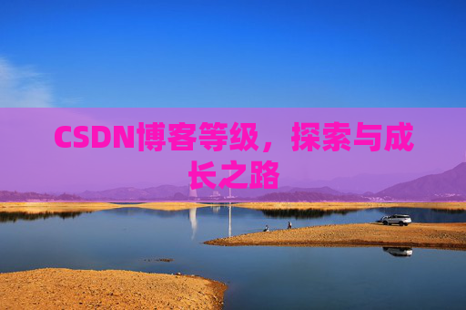 CSDN博客等级，探索与成长之路